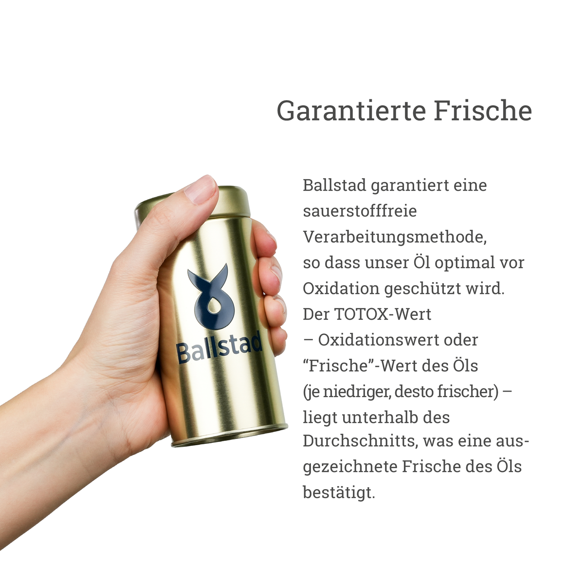 Frische Omega-3 Fischöl-Kapseln - 1 Monat