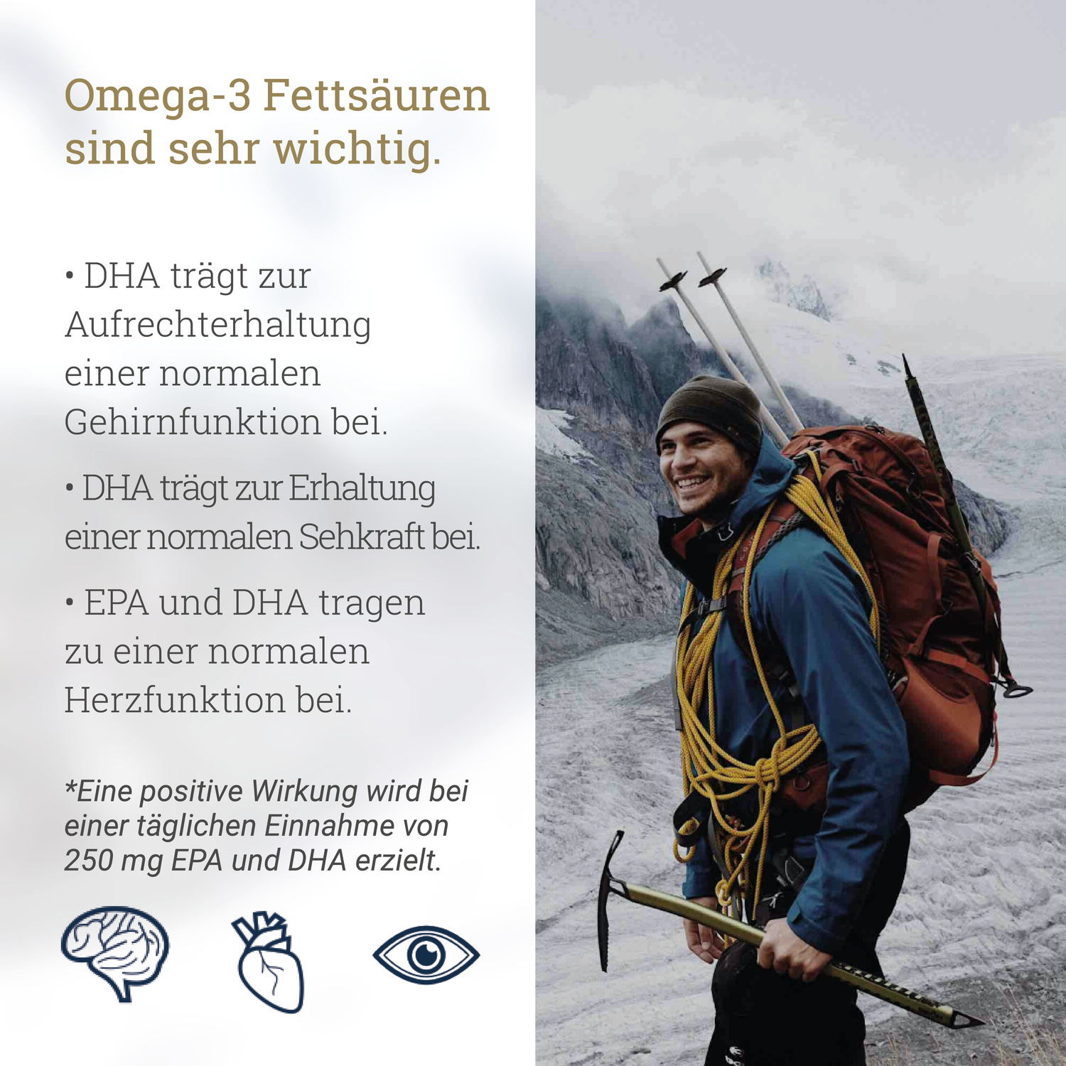 Frische Omega-3 Fischöl-Kapseln - 1 Monat