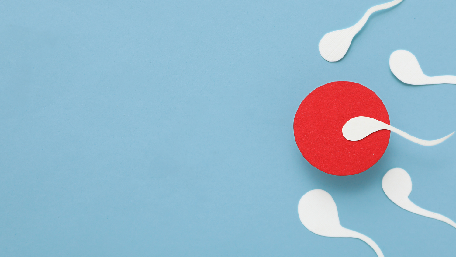 Spermiengesundheit und Ernährung: Warum Omega-3 wichtig ist