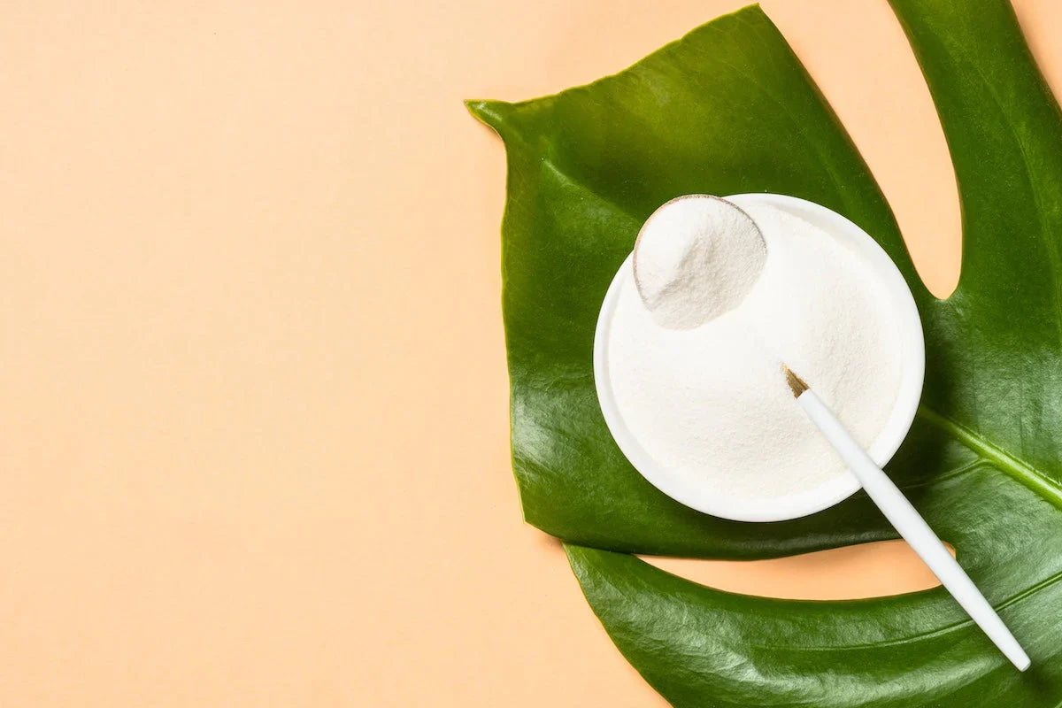 Schale mit weißem Kollagenpulver und Messlöffel auf einem großen grünen Blatt – Symbol für Nahrungsergänzung und natürliche Inhaltsstoffe.