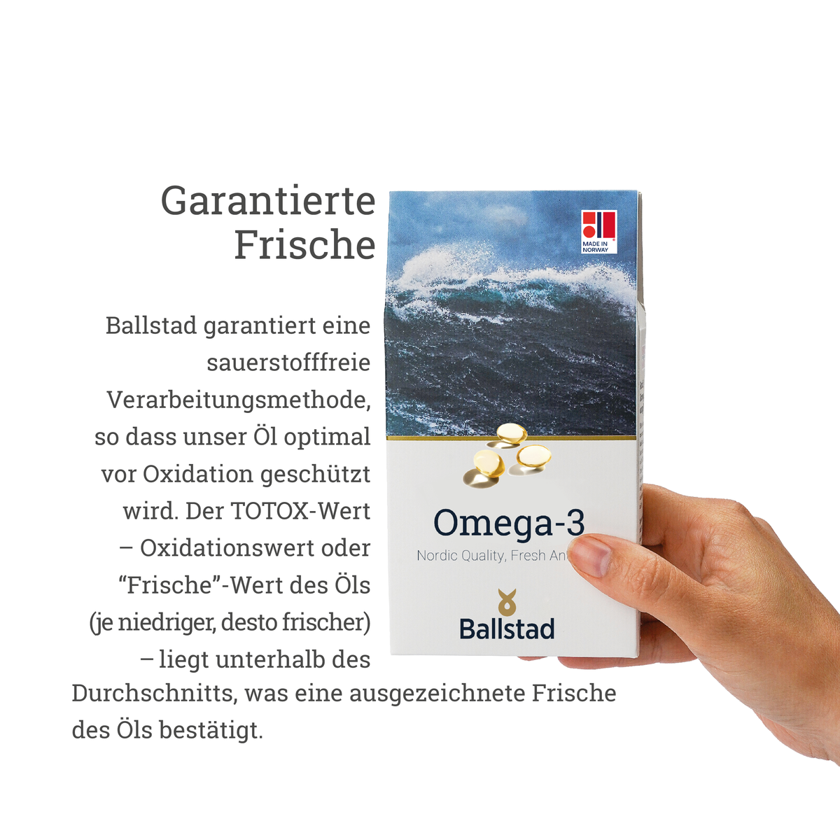 Frische Omega-3 Fischöl-Kapseln - 6 Monat