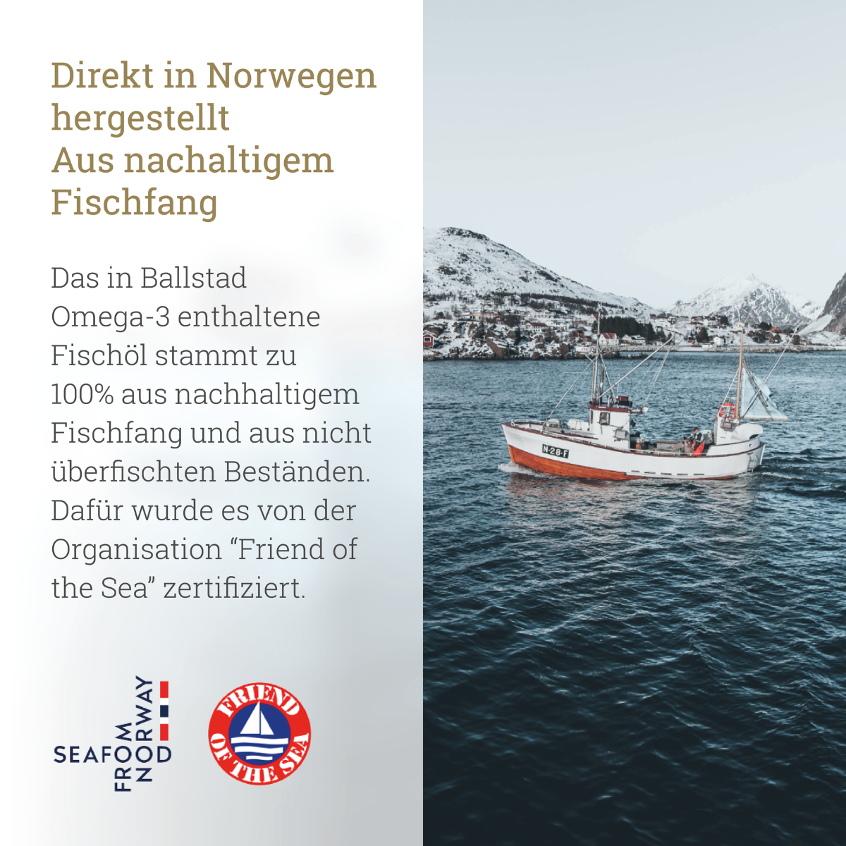 Frische Omega-3 Fischöl-Kapseln - 6 Monat