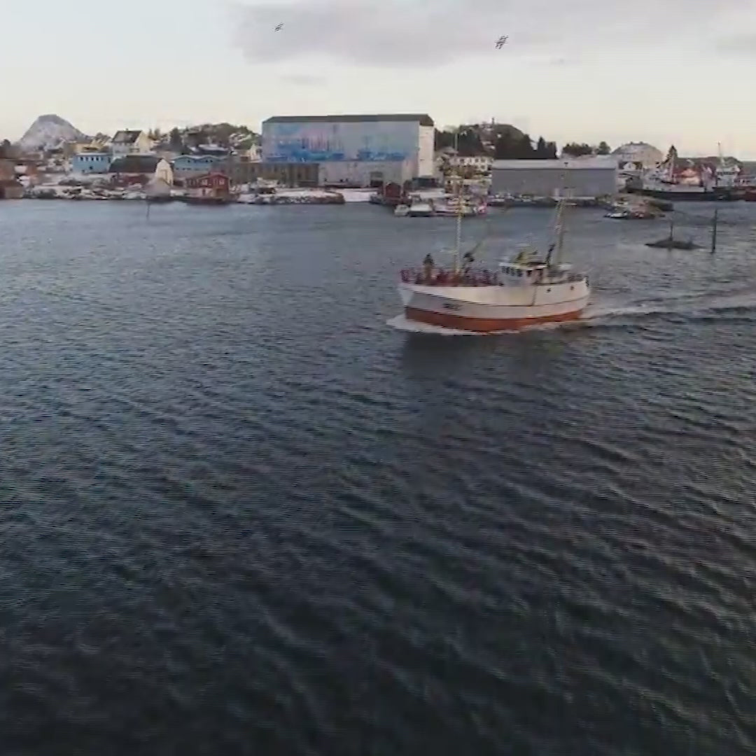 Lachskollagen - 6 Monate