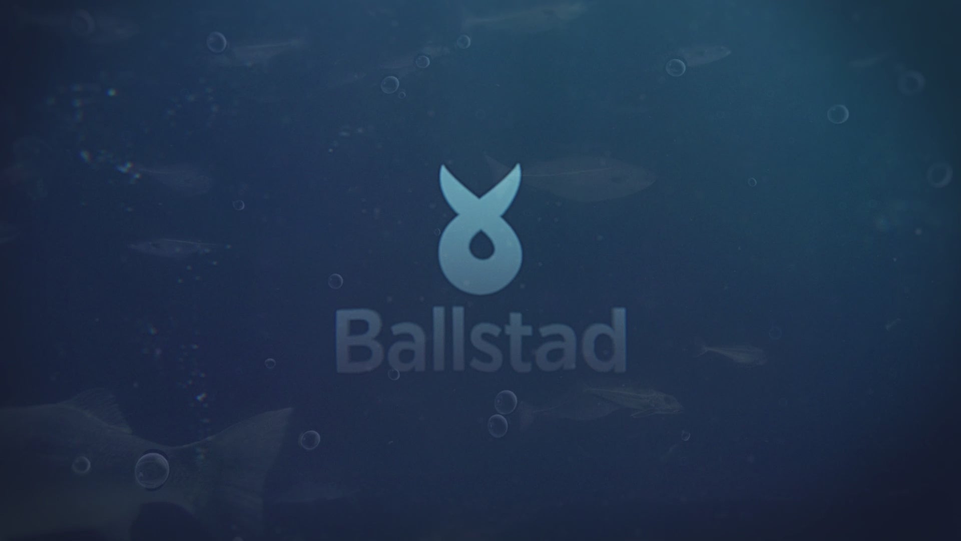 Laden Sie das Video: 