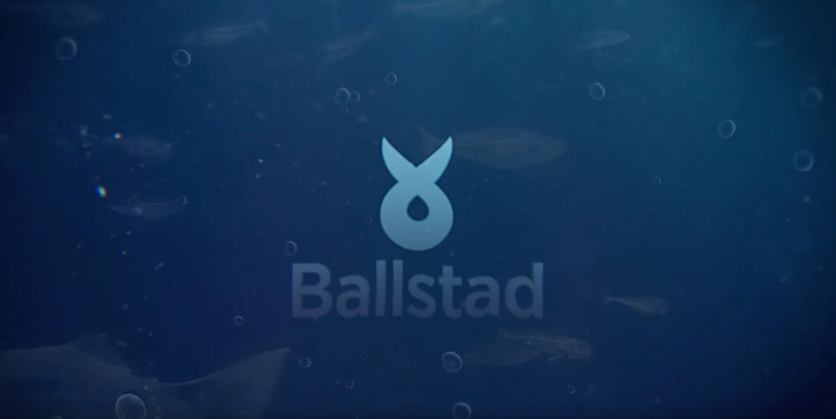 Load video: Das Team des SC Magdeburg spricht über Ballstad und darüber, wie es ihre Leistung vor, während und nach den Spielen unterstützt.